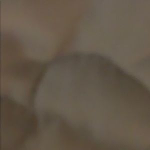 Meet your Posher, Phillip